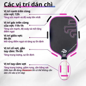 chi dan vot pickleball 8